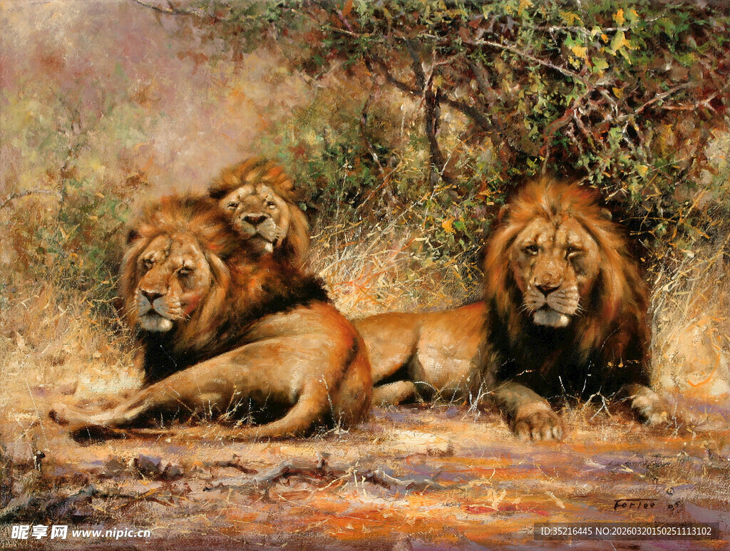 草原上休憩的三只雄狮