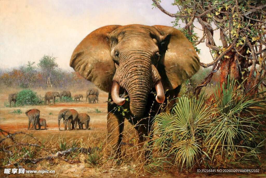 草原上的大象群