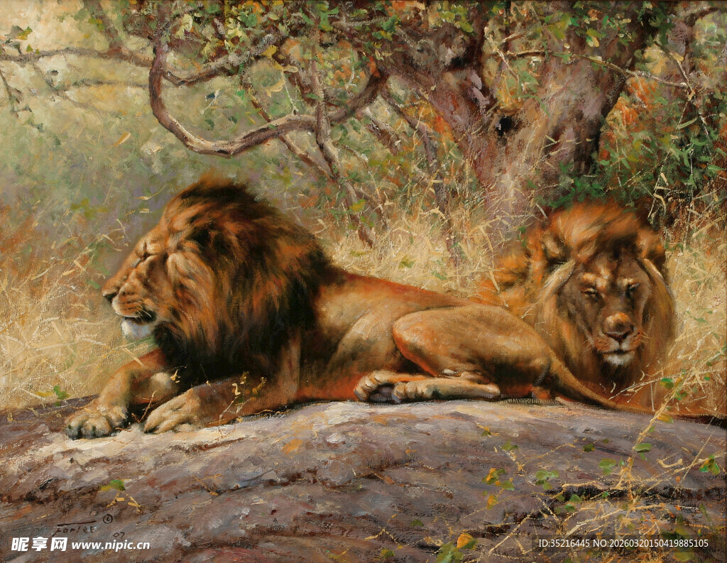 岩石上休憩的两头雄狮