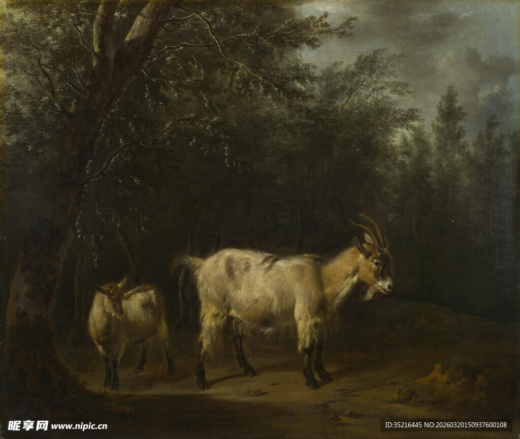 林间漫步的马匹