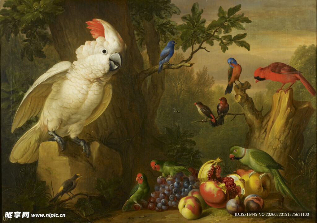 鹦鹉与鲜果的静物图景