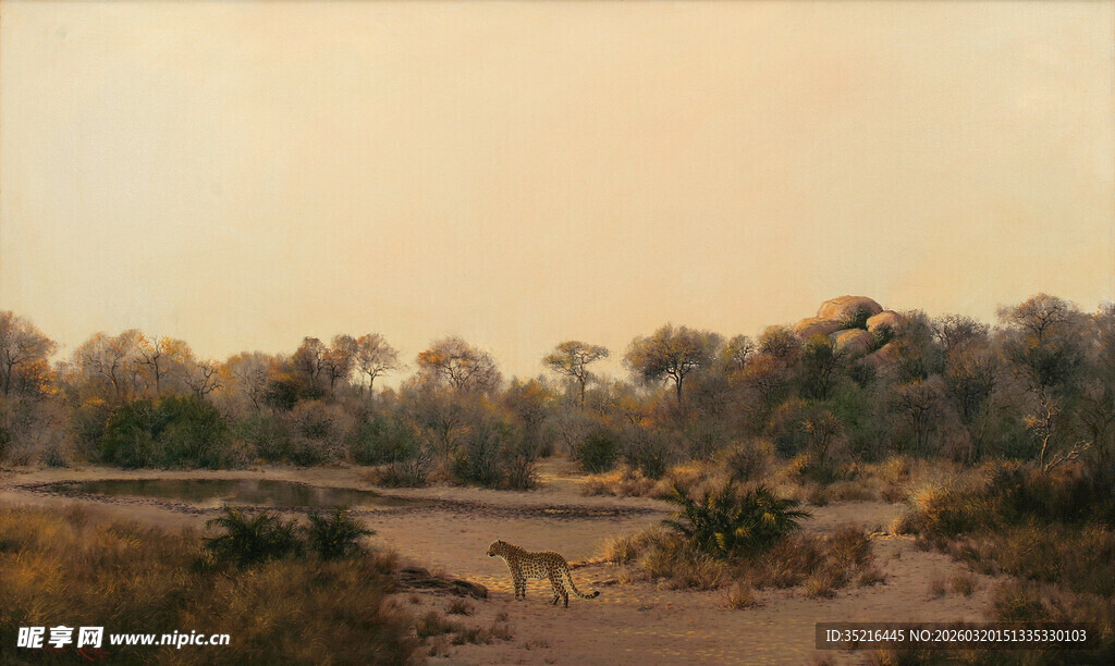 黄昏下的旷野树林景观