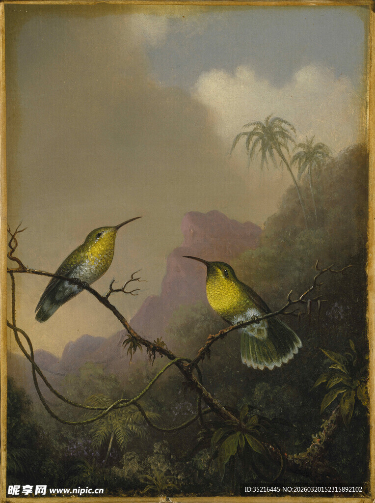 枝头双鸟与远方景致