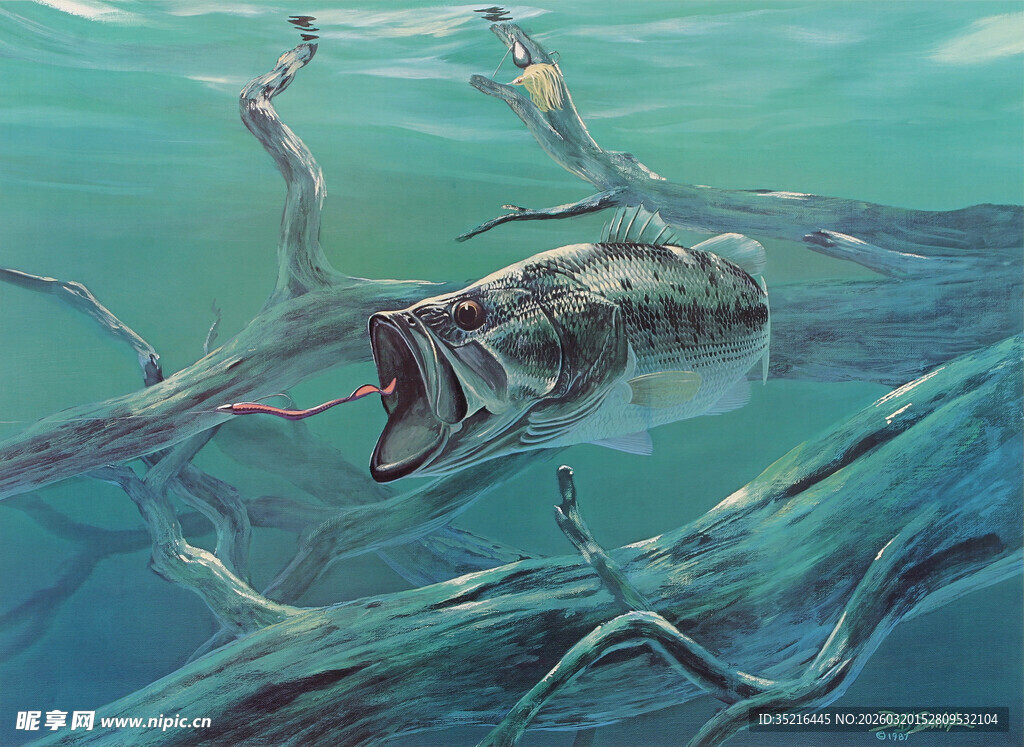 水中鱼群游动的生动景象