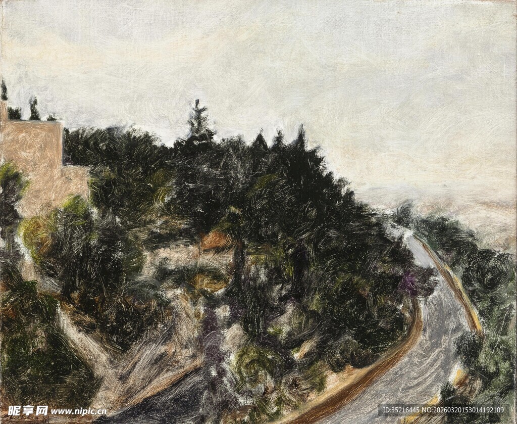 山间公路旁葱郁树木景观