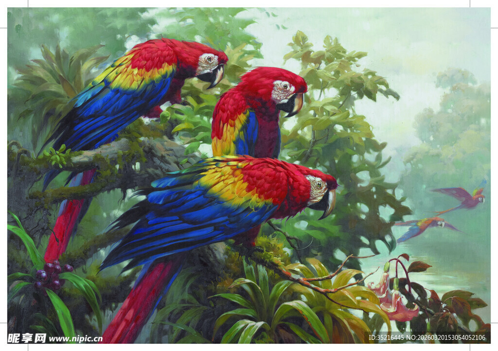 丛林中色彩斑斓的鹦鹉群