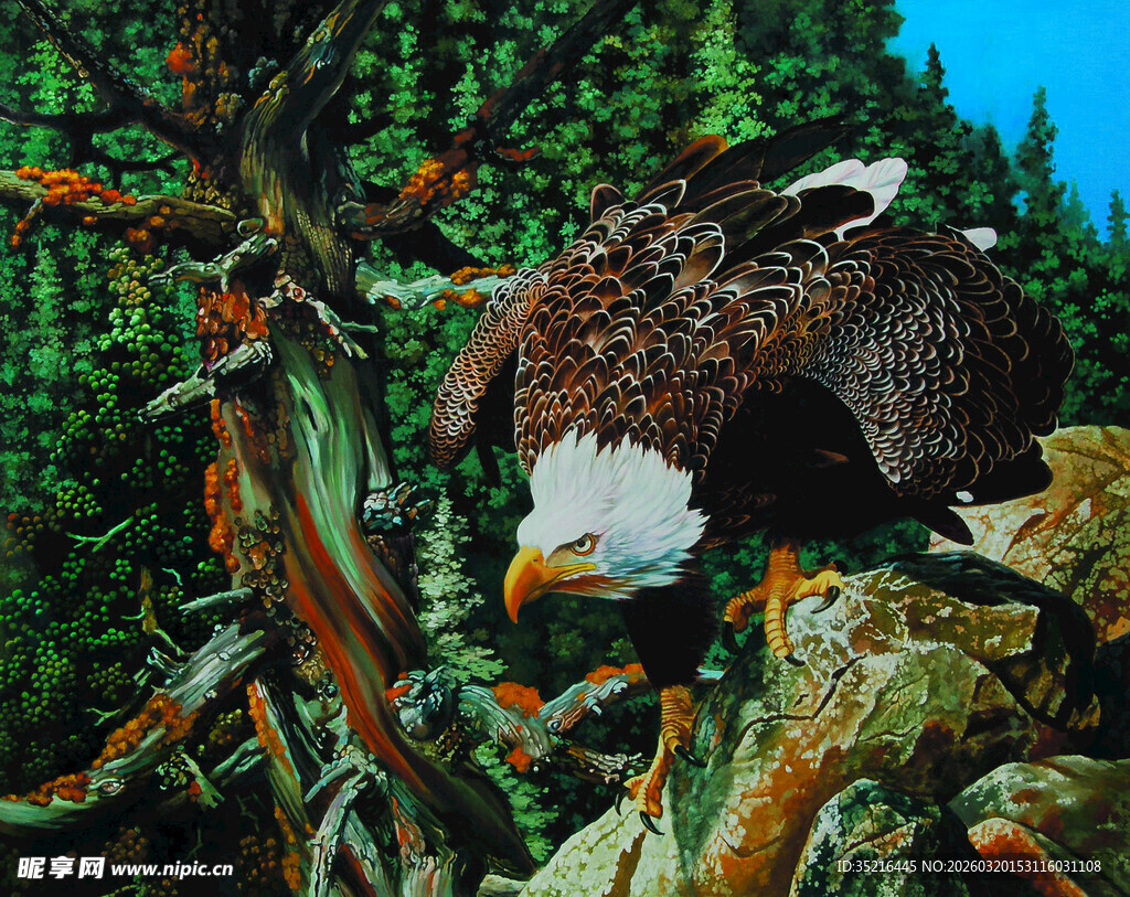 雄鹰栖息于繁茂森林间