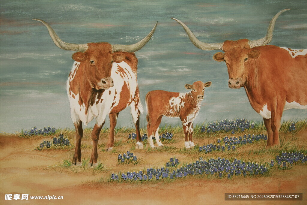 草原上的长角牛家族