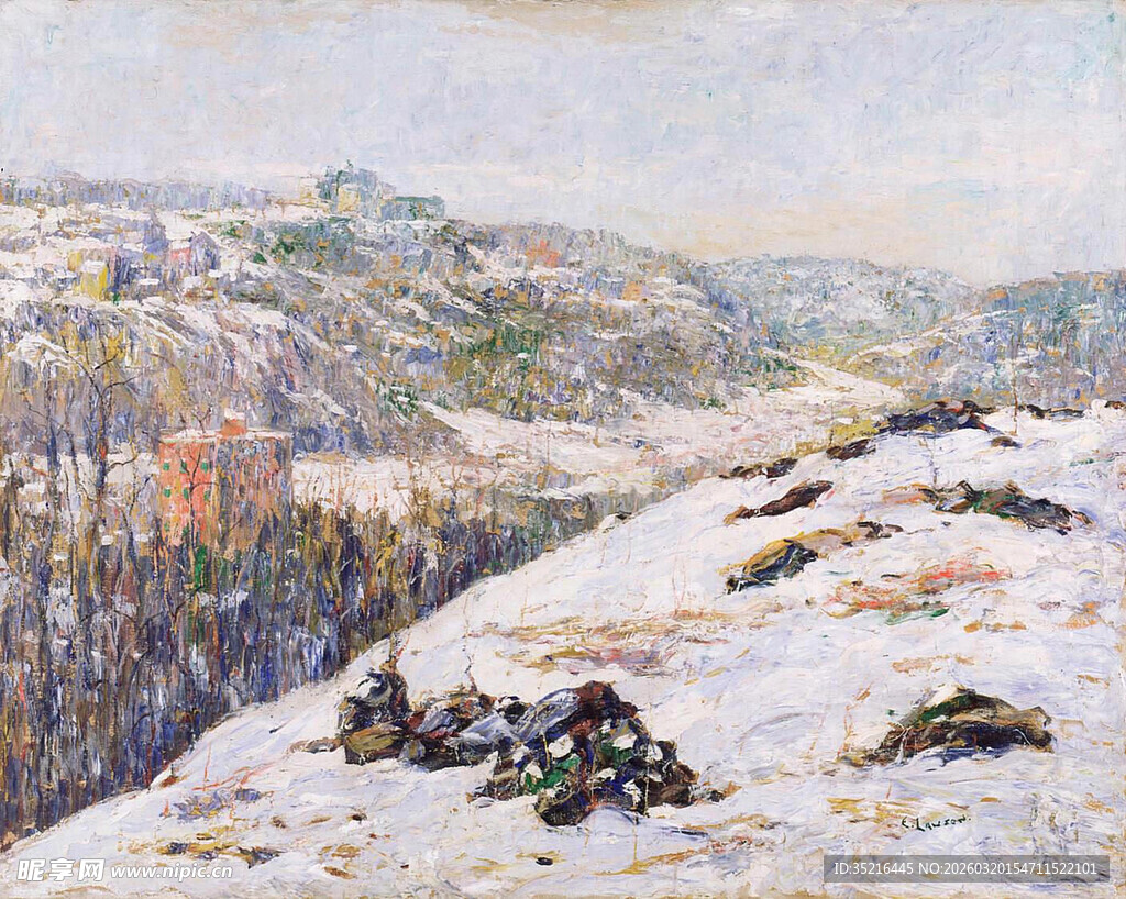 冬日雪景中的静谧山坡