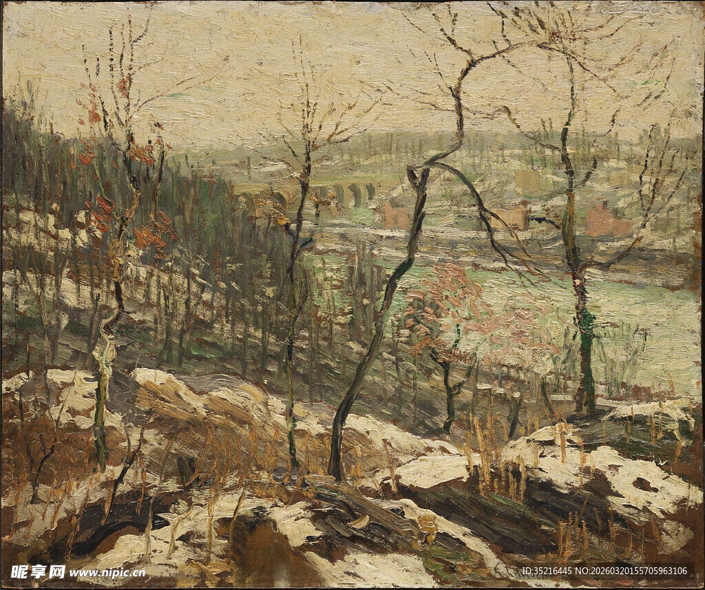 冬日雪景中的萧瑟树林