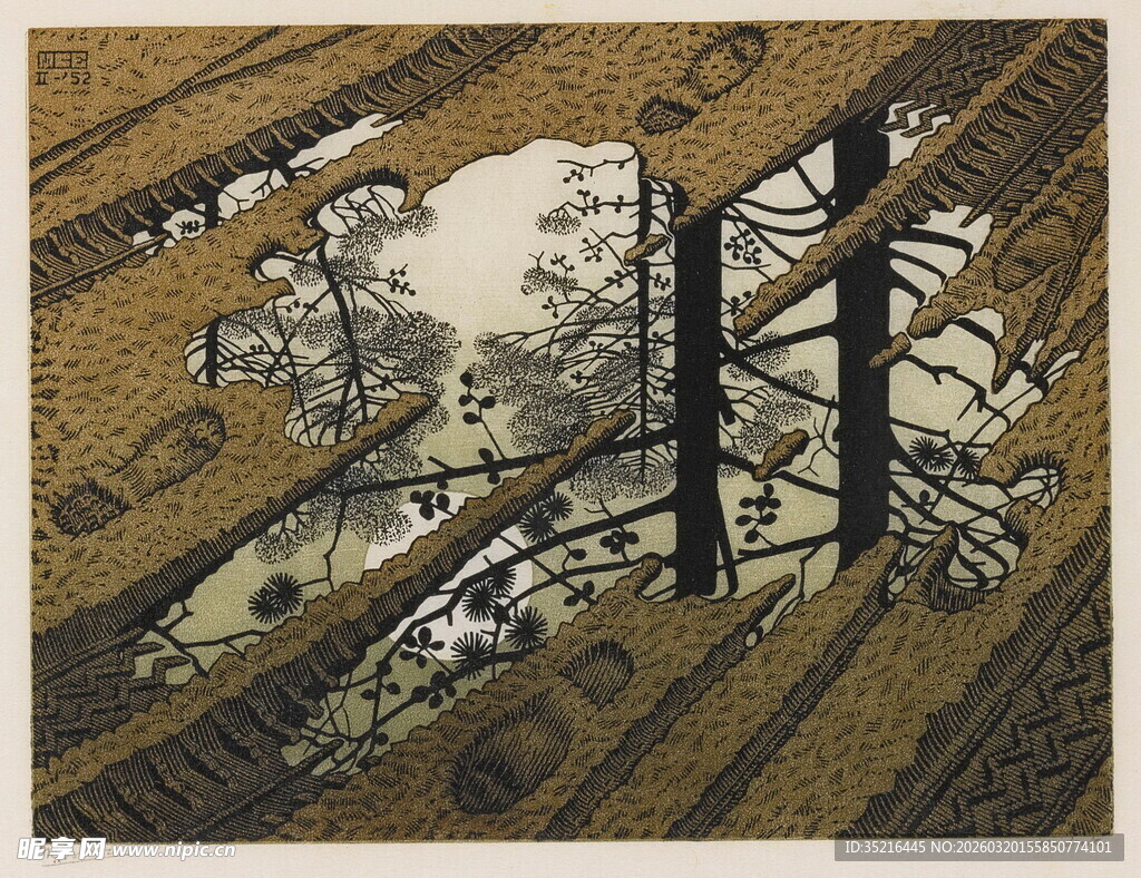 木质栈道下的自然景致