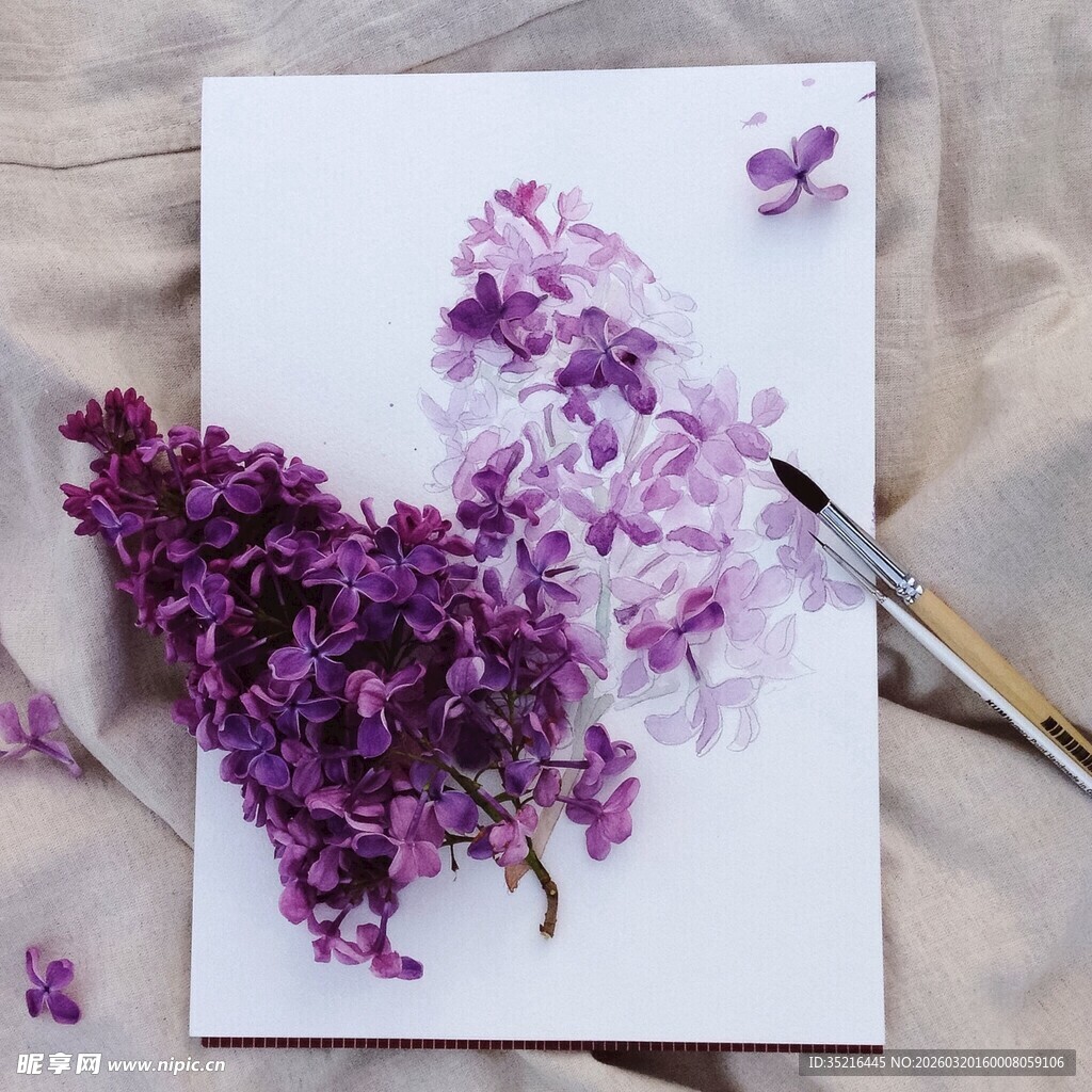 紫丁香创意绘画与实物搭配