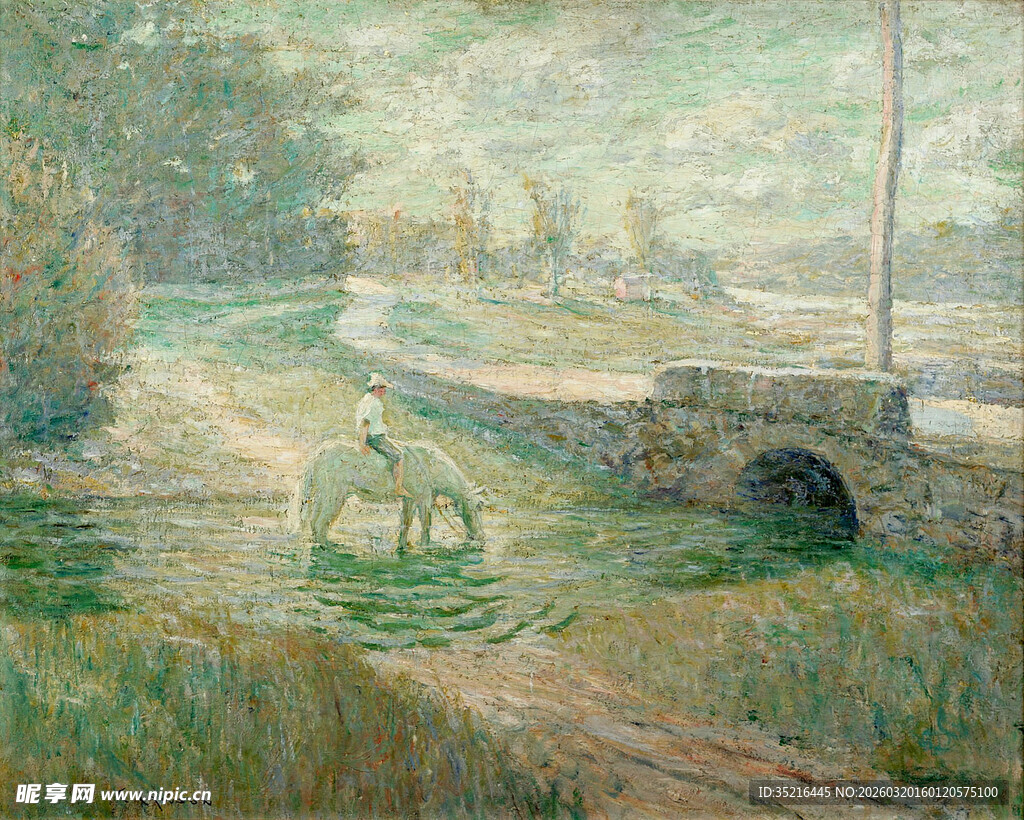 乡村小径上的宁静风景