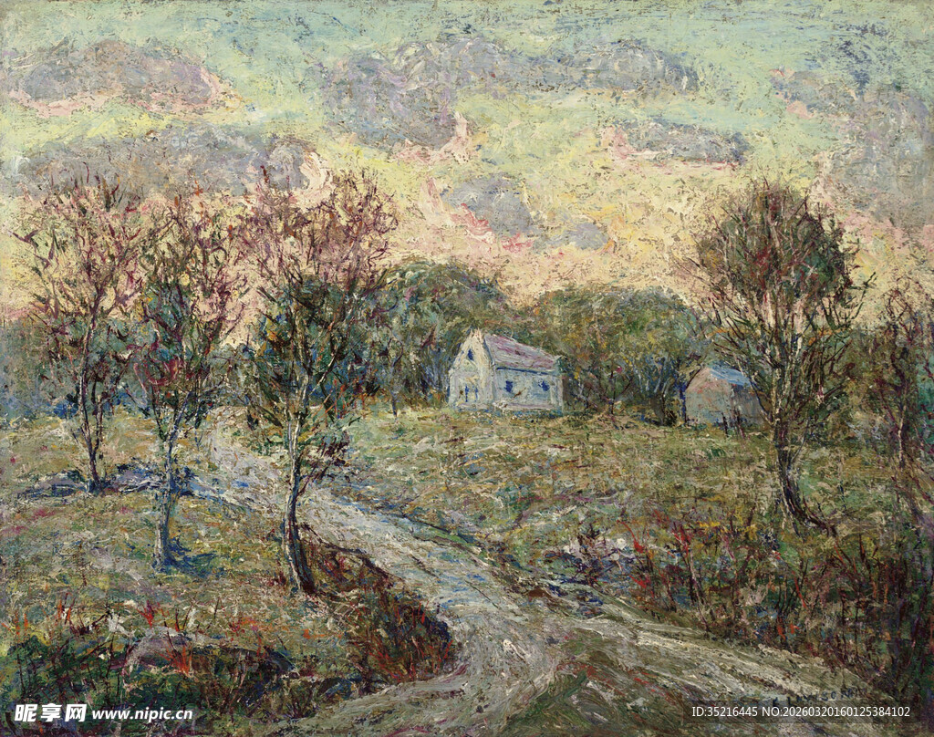 乡村小路旁的宁静田园风光