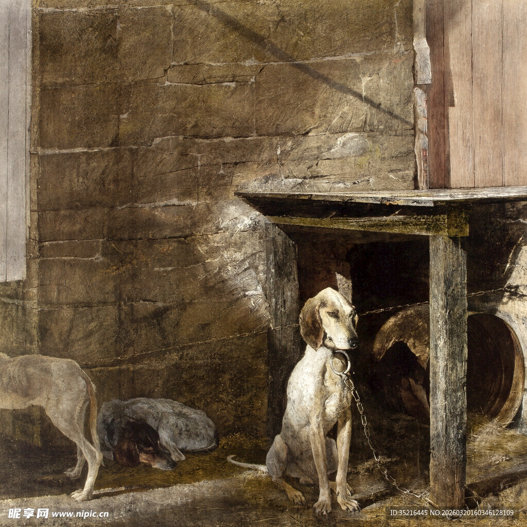 谷仓中静立的狗与同伴