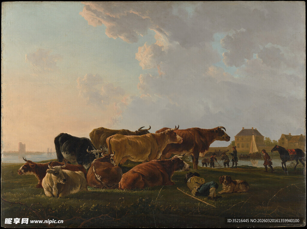 田园牧场景象中的牛群