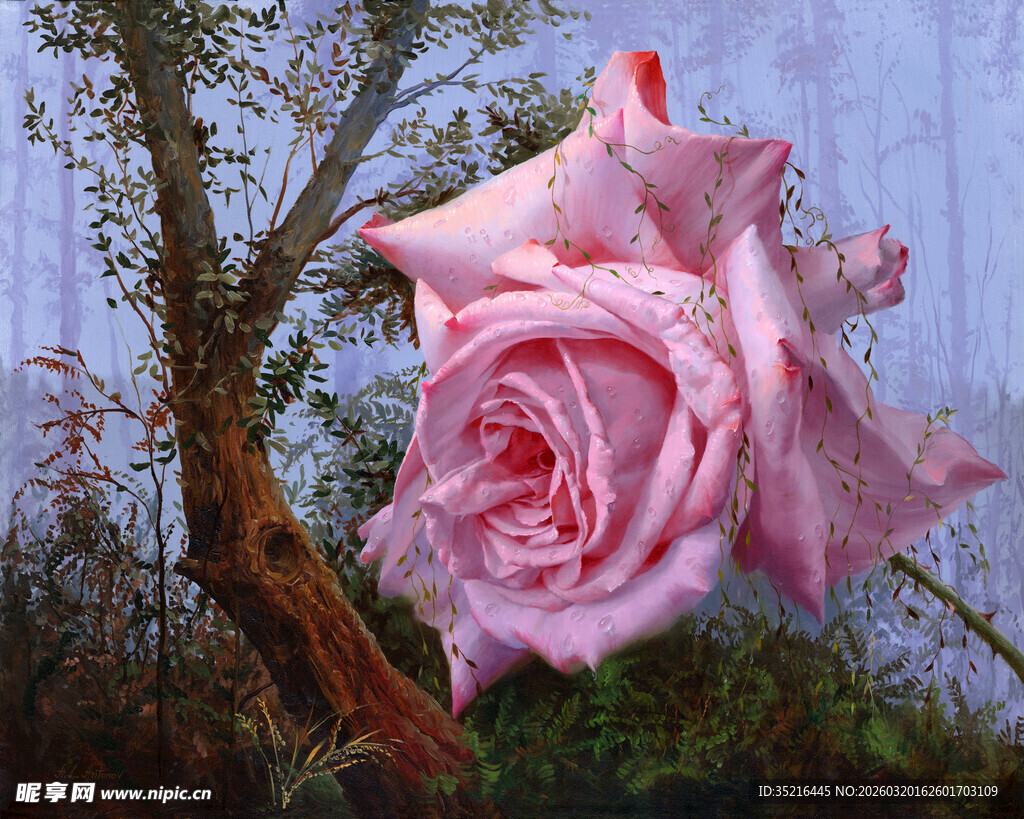 娇艳粉玫瑰与枯树相伴