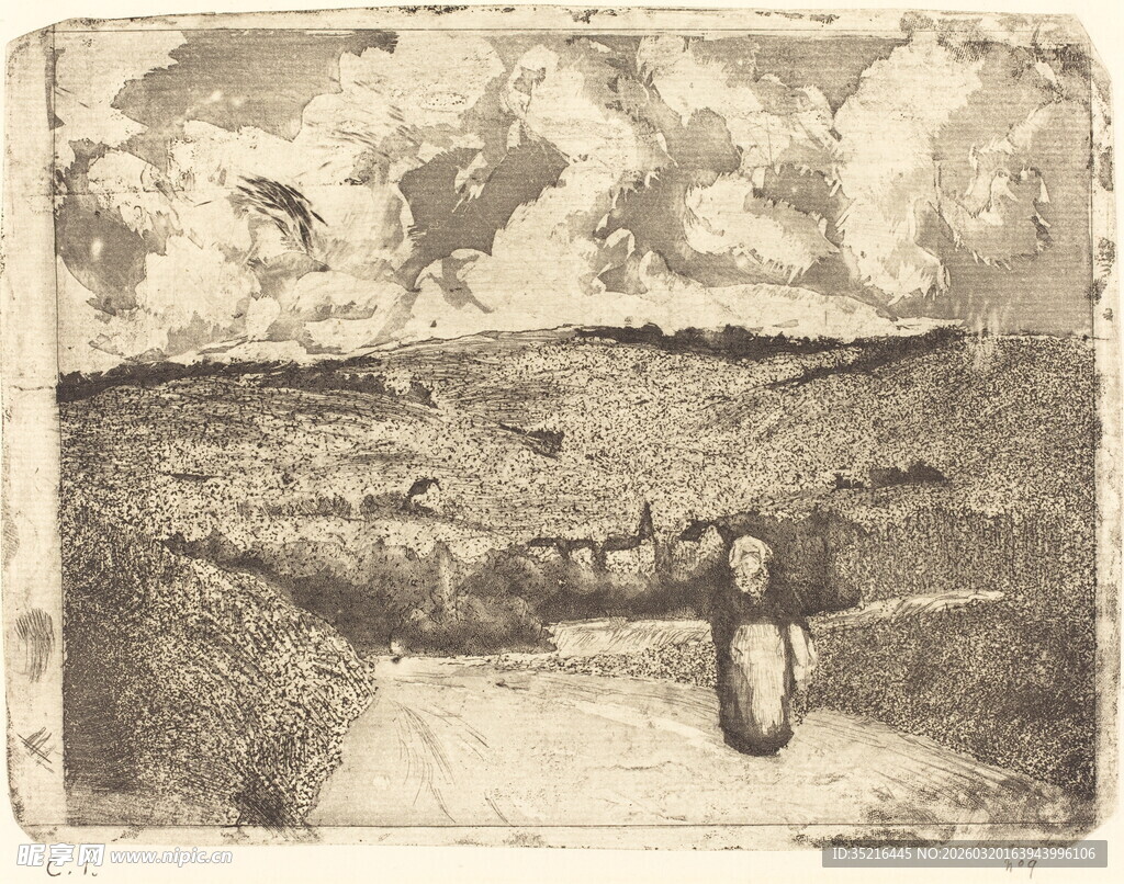 乡村小路旁的田园景象