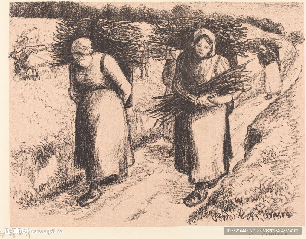 农妇田间携物行走画面