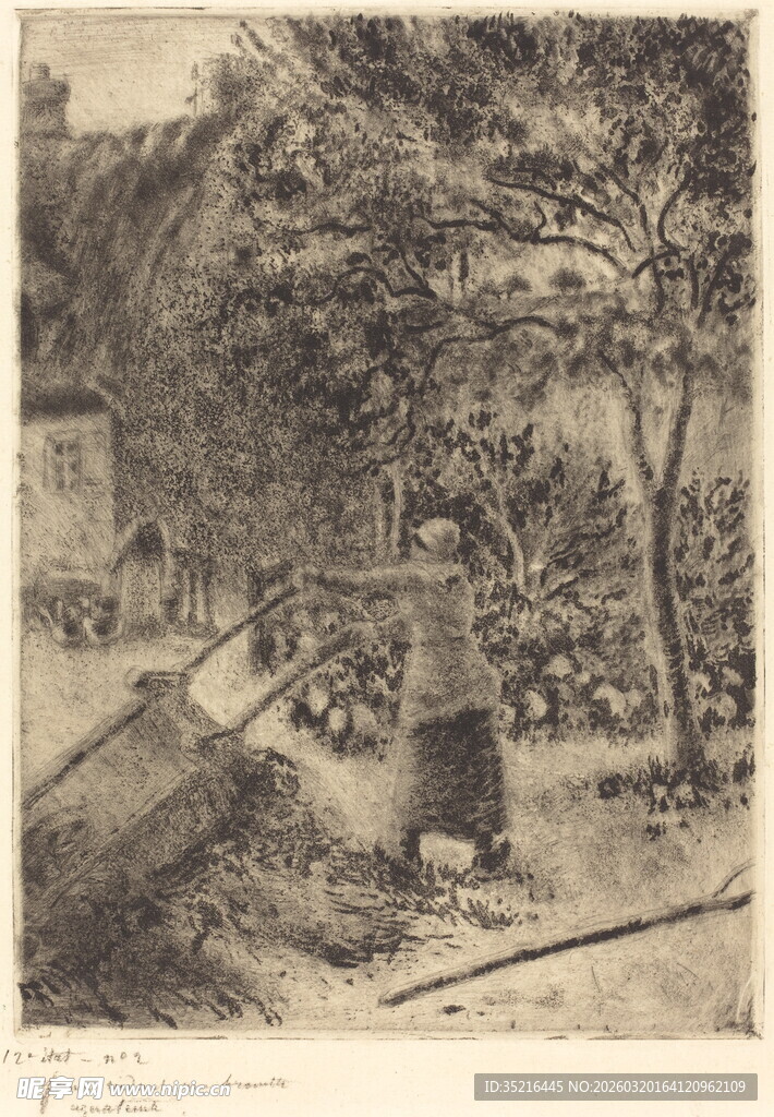 乡村林间小道风景素描