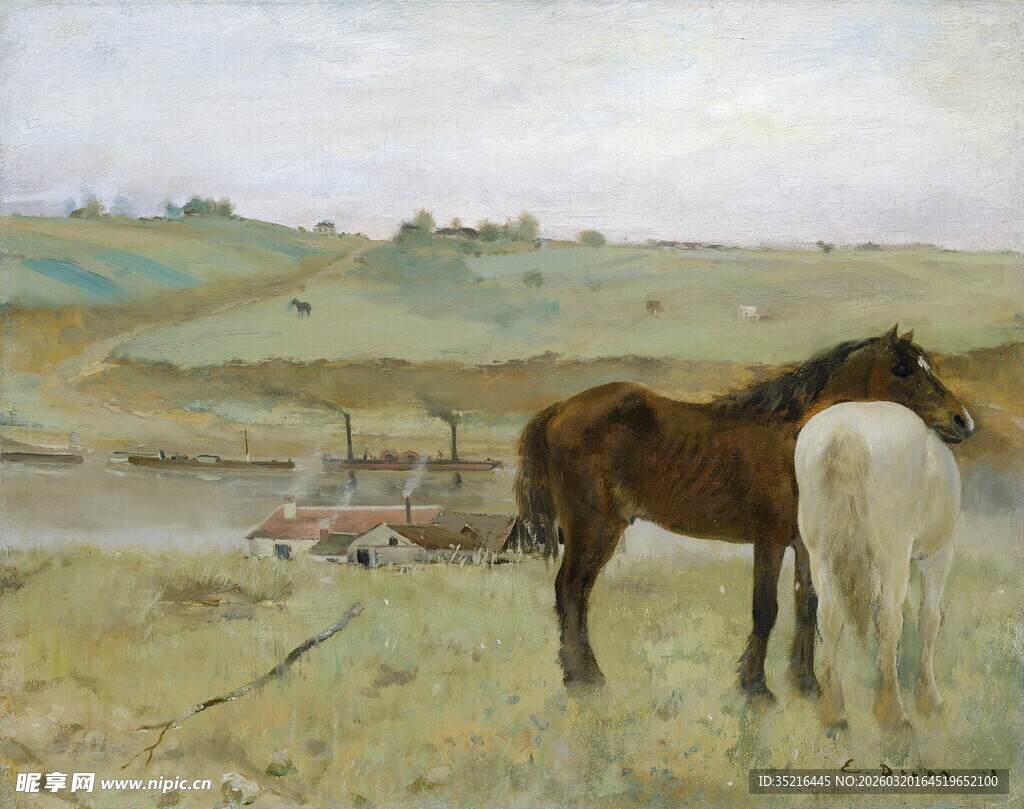 草原上的两匹马