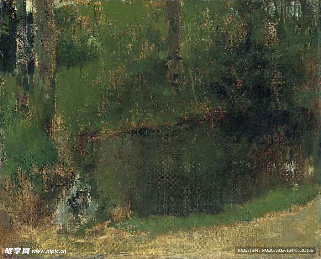 林间静谧池塘风景图