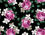 粉色玫瑰花卉图案背景