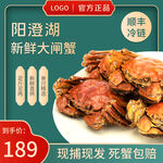 阳澄湖畔新鲜大闸蟹特惠