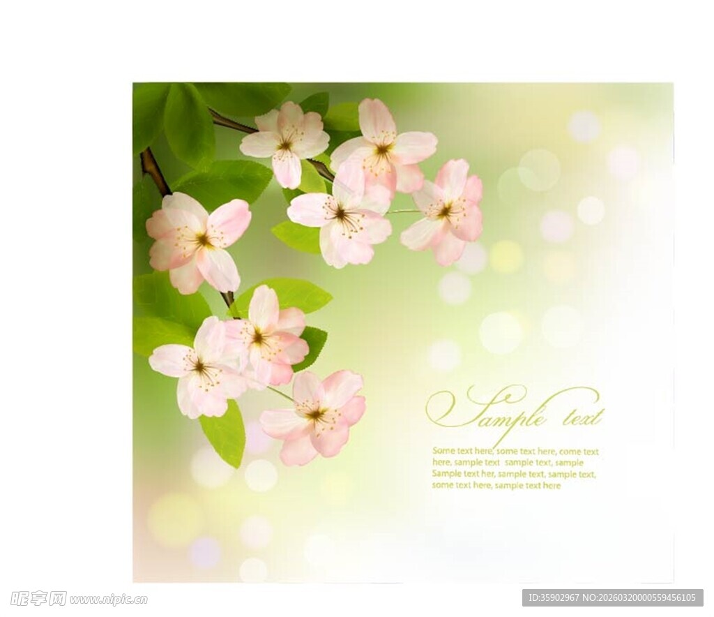 春日粉嫩花朵绽放画面