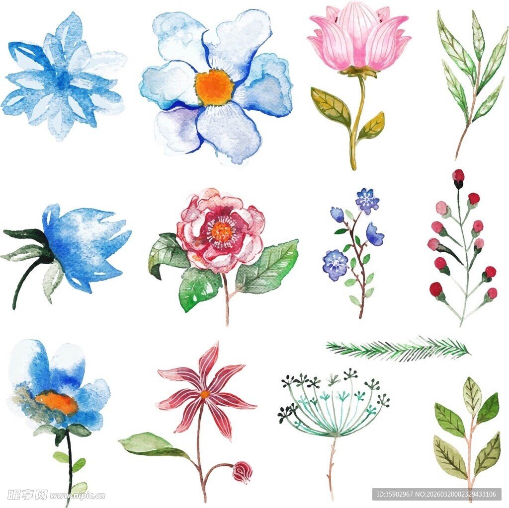 手绘多彩花卉图案集合