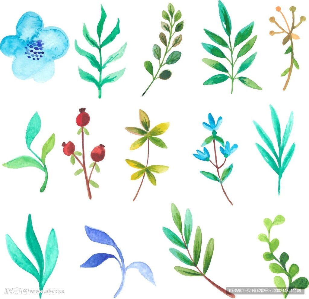 清新水彩风植物元素集合
