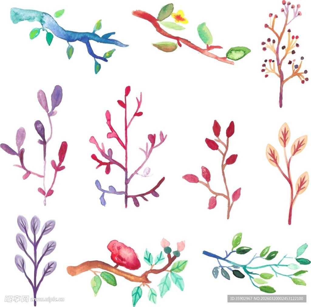 水彩风多彩植物枝条插画