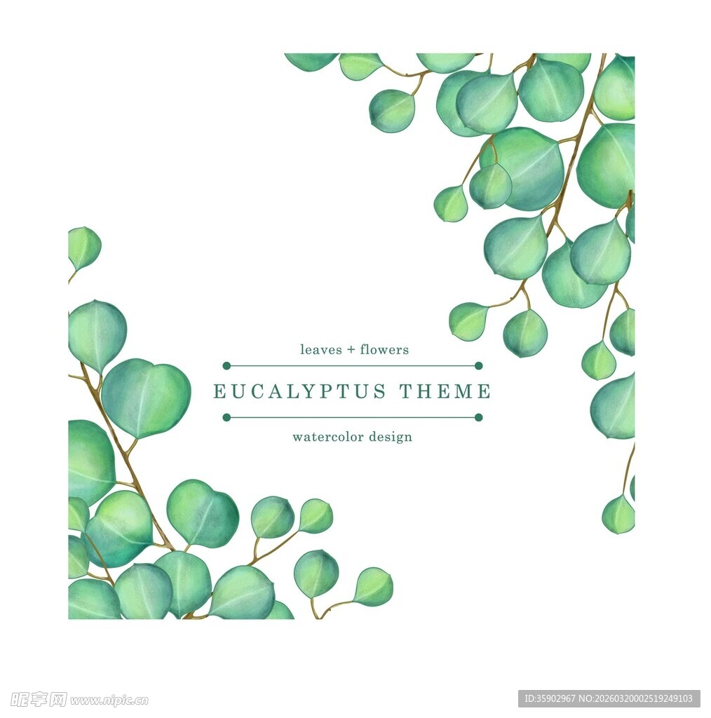 清新桉树叶水彩装饰图案