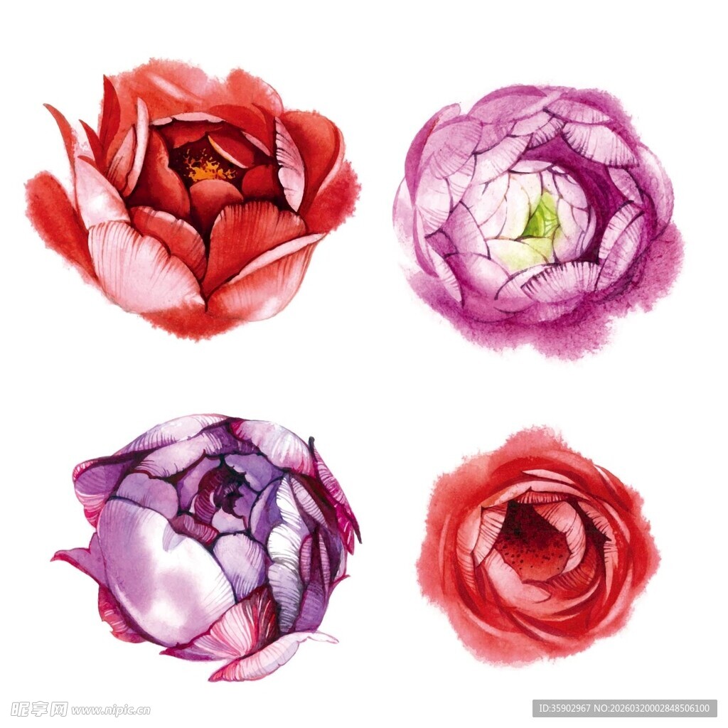 水彩花卉四幅图