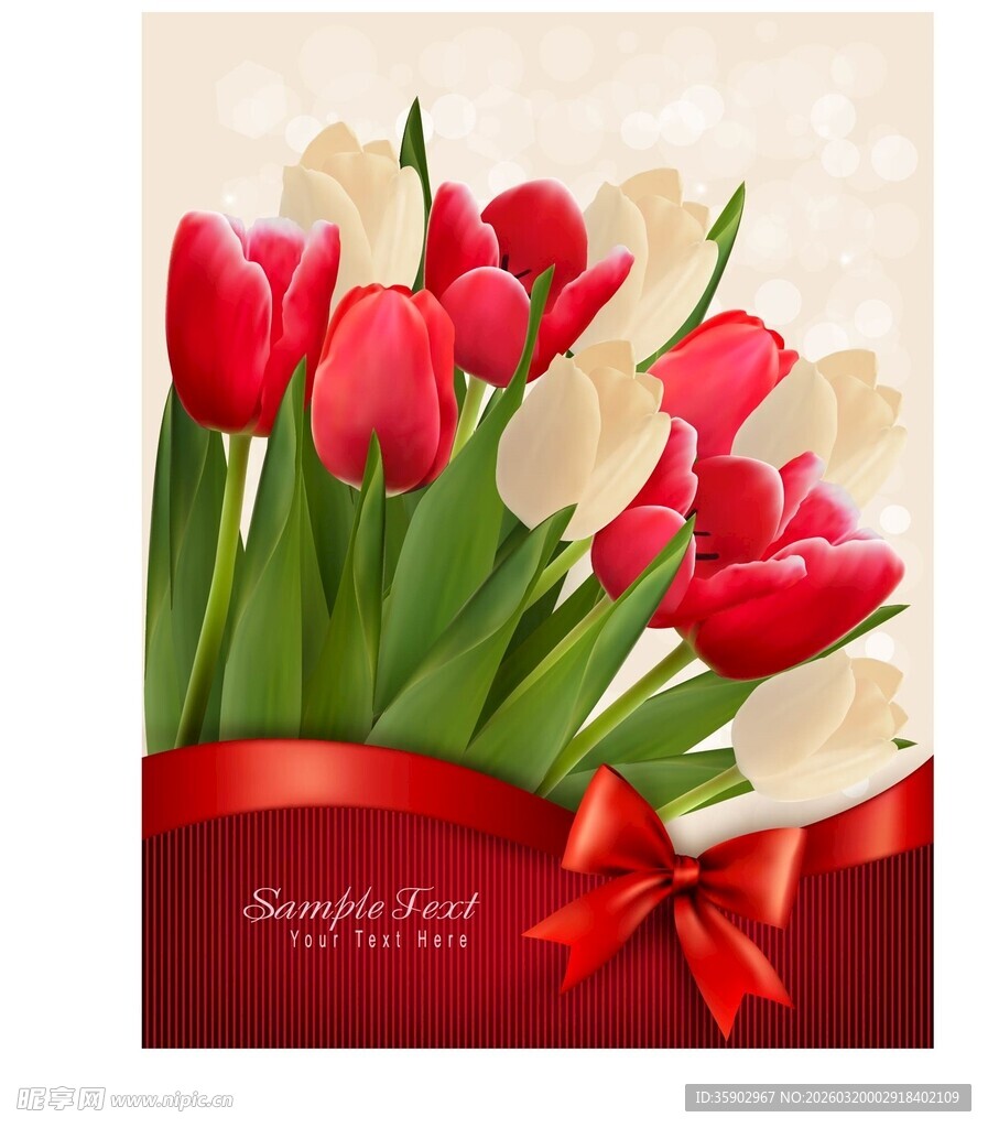 红白郁金香红丝带装饰图