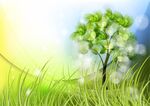 春日嫩绿小树与草地