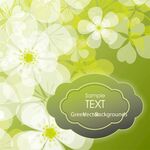 清新花朵背景模板