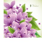 紫色花卉插画清新浪漫