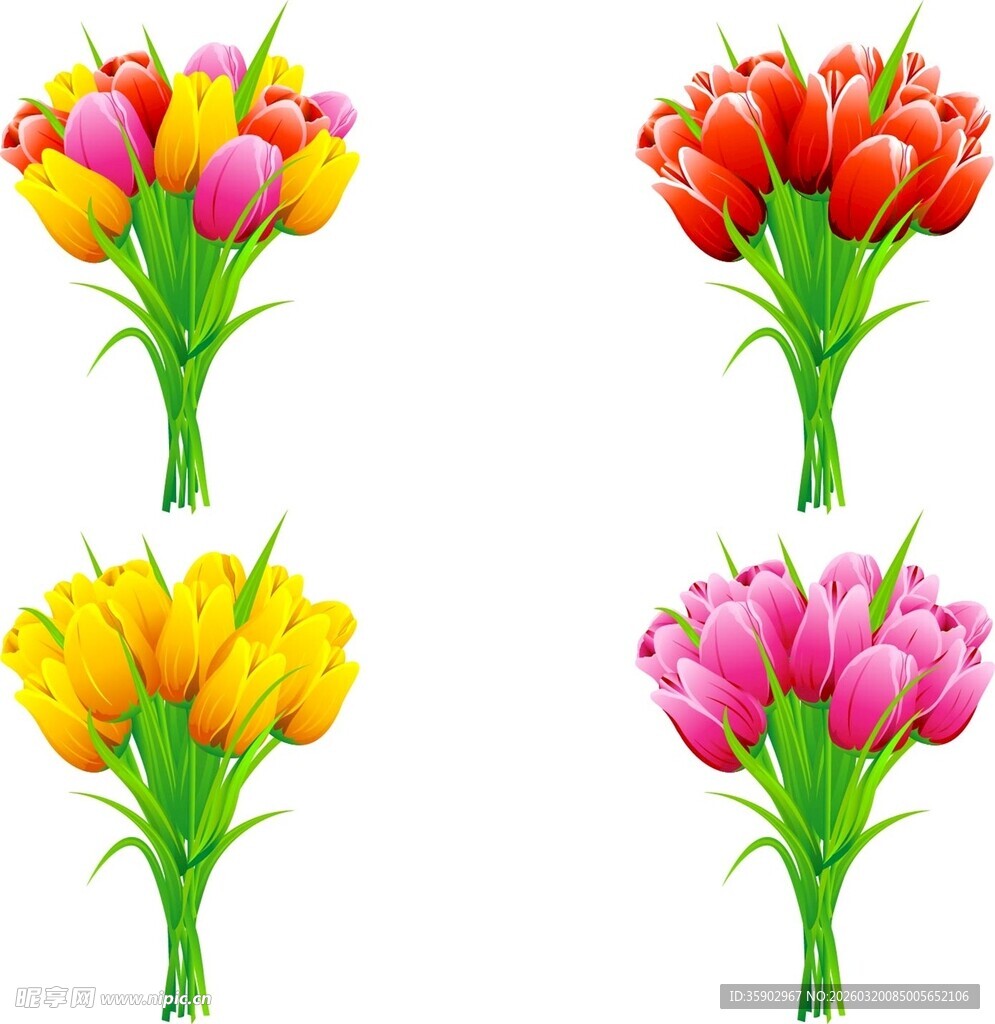 多彩郁金香花束展示