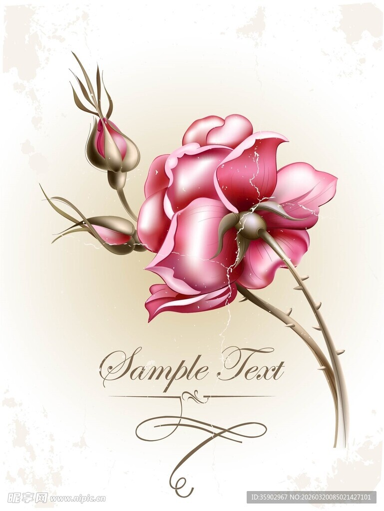 手绘粉色玫瑰花卉图案