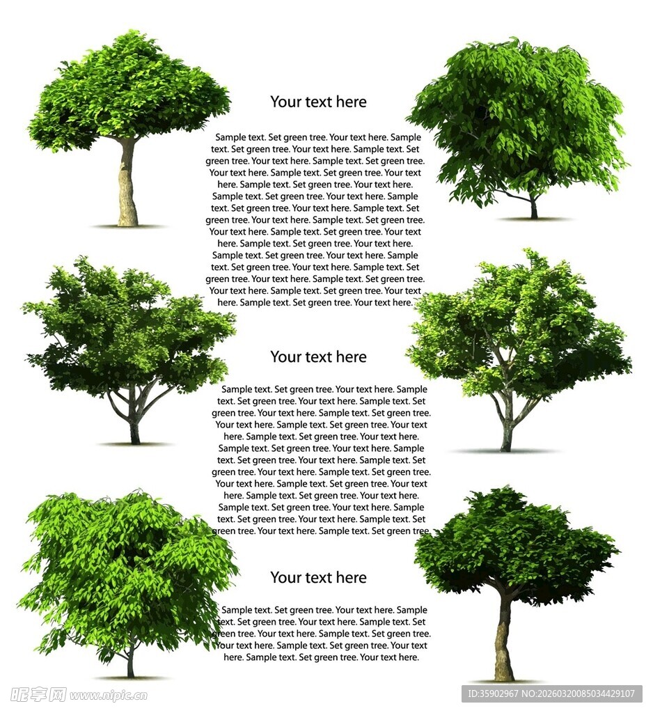 多样形态的绿树展示