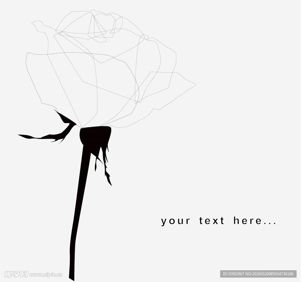 简约黑白玫瑰插画