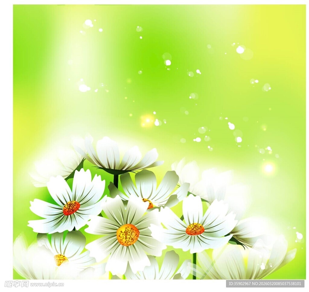清新雏菊绽放绿意背景