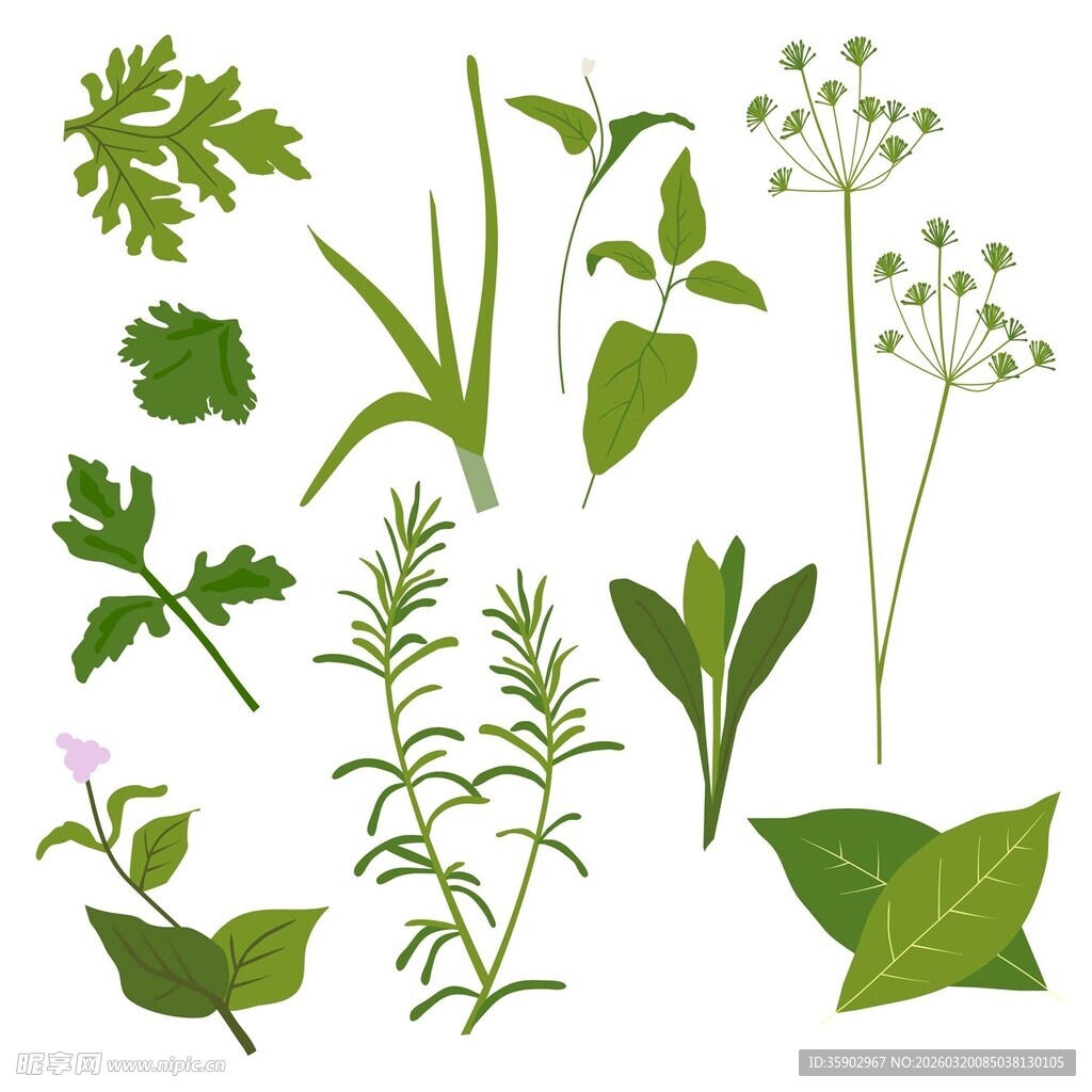 多样清新绿植矢量素材