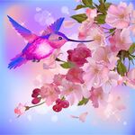 蜂鸟飞舞于烂漫樱花间