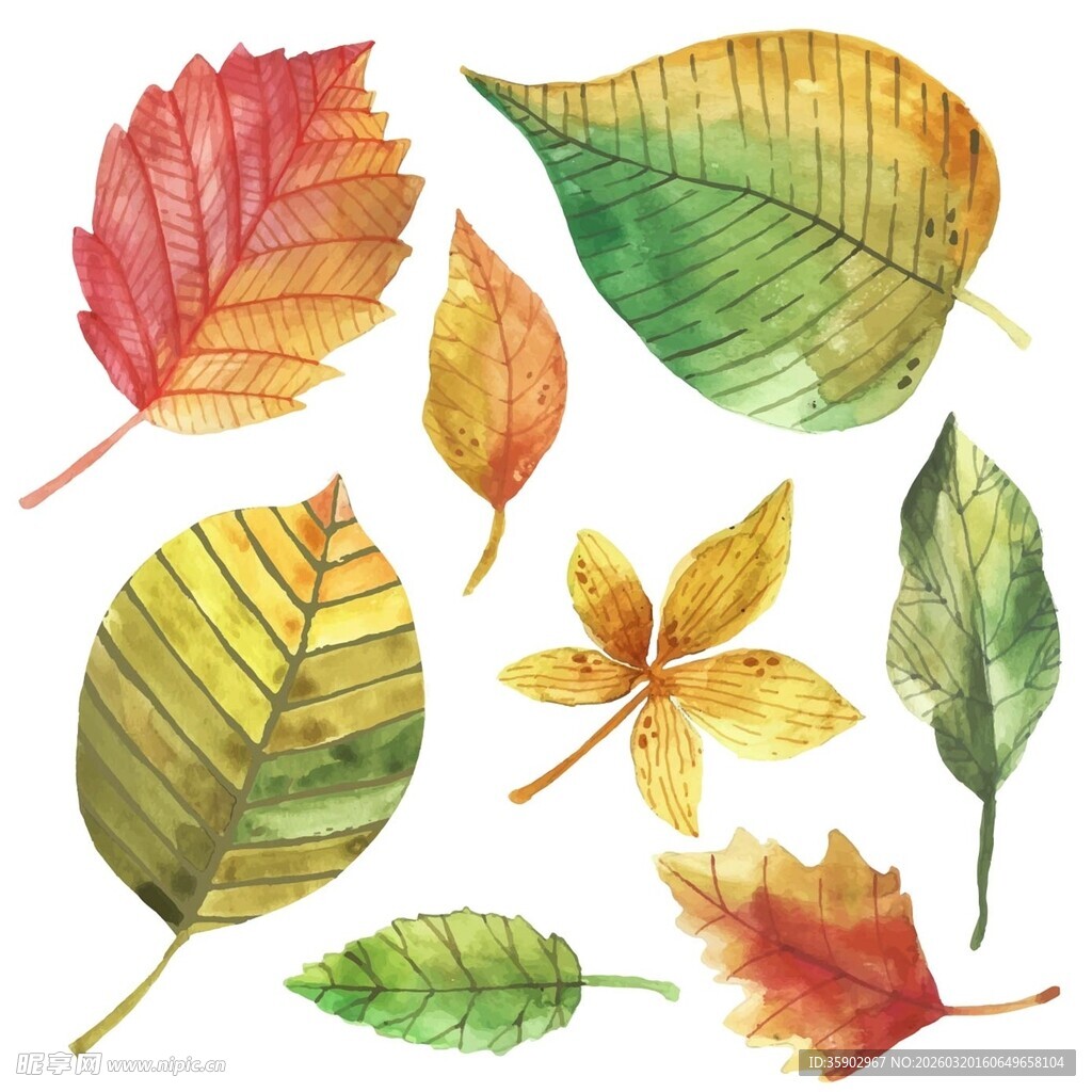 水彩绘多彩秋叶