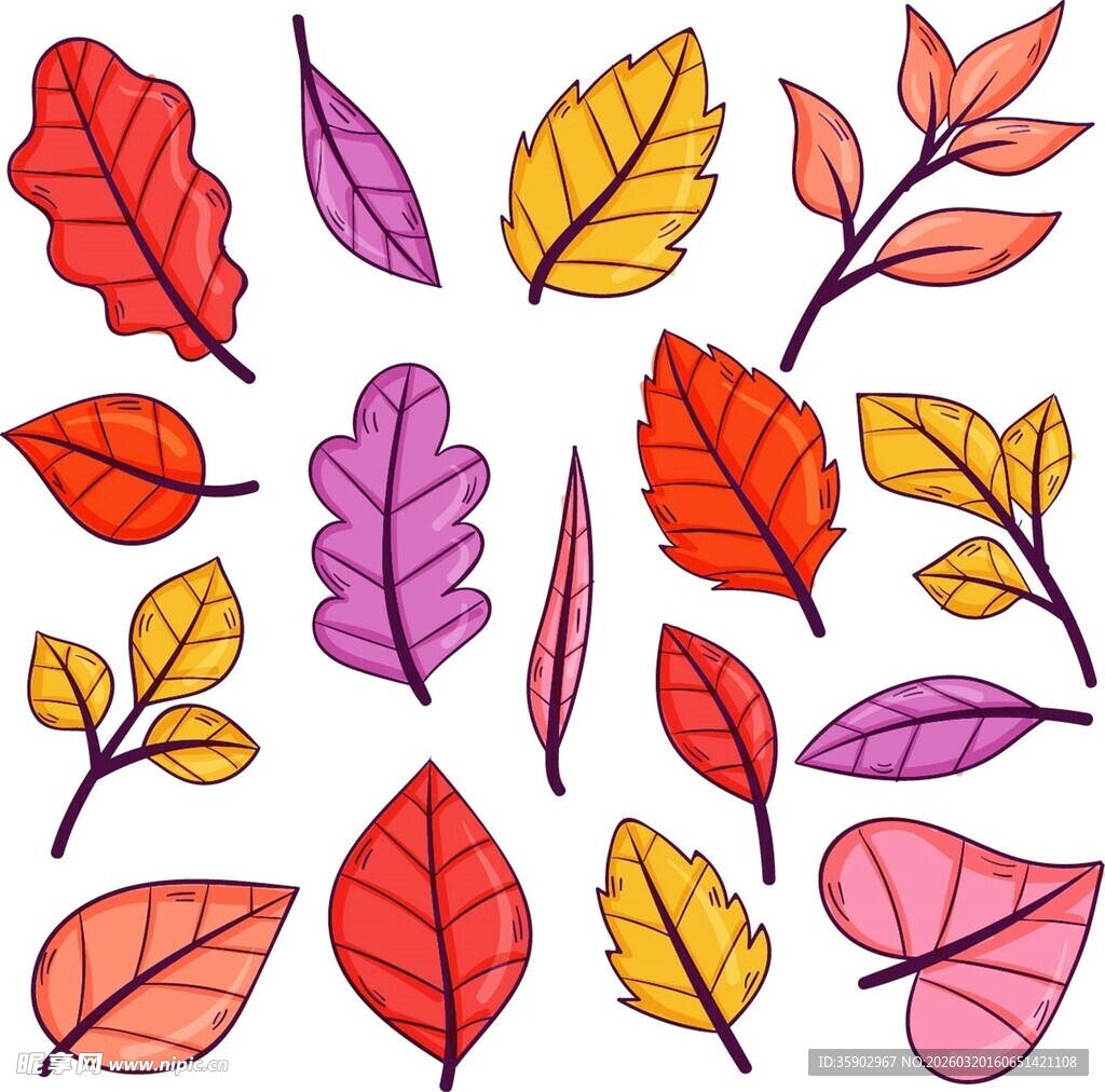 多彩秋叶插画