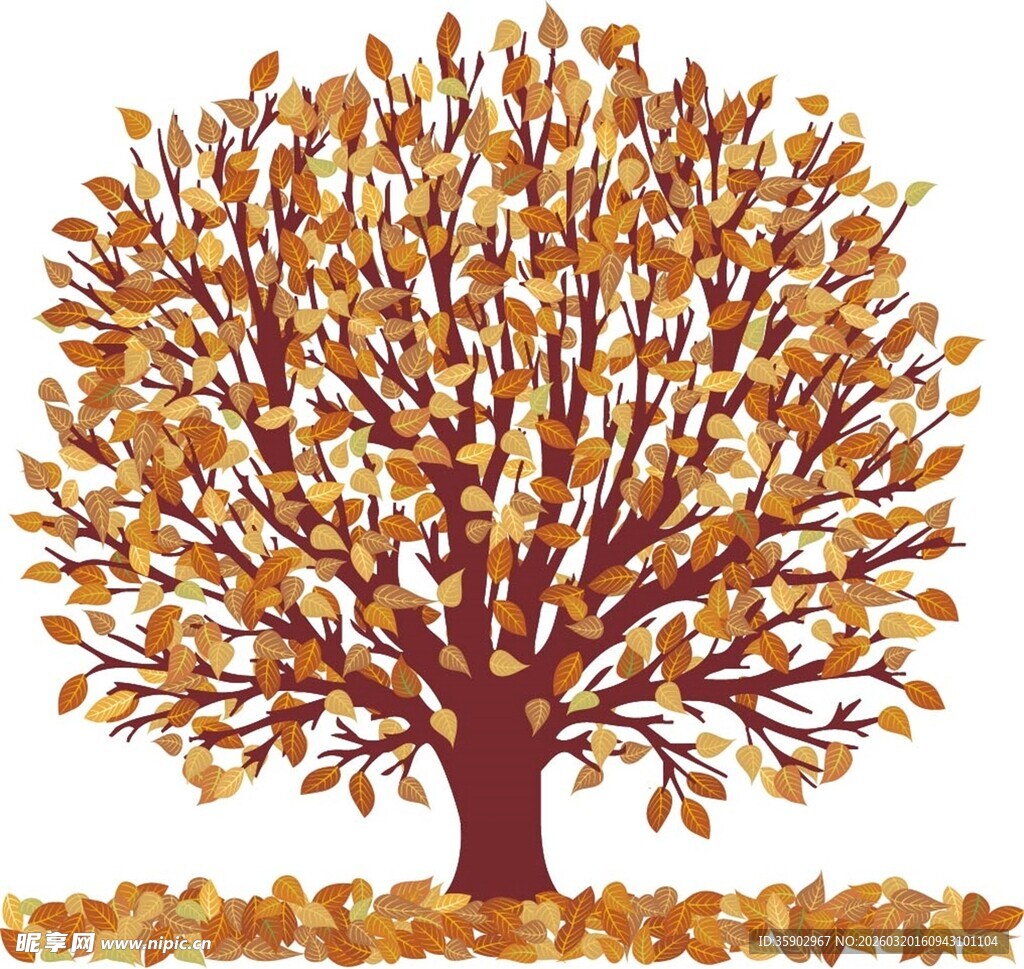 秋日金黄大树图景