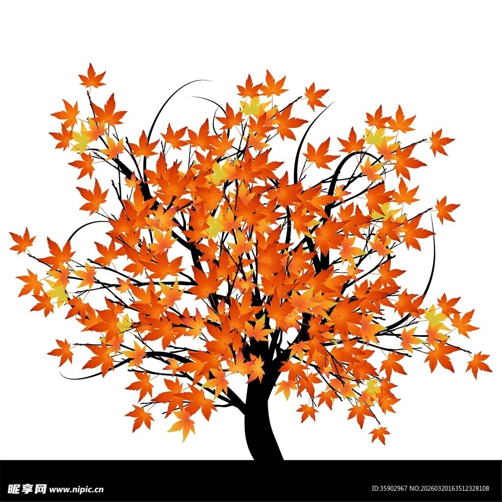 秋日橙叶树