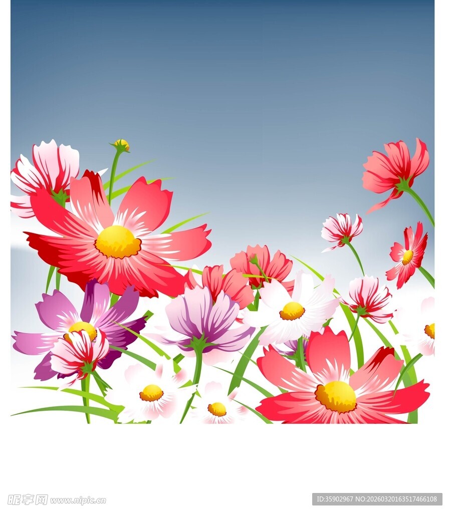 缤纷花朵绽放于蓝天之下